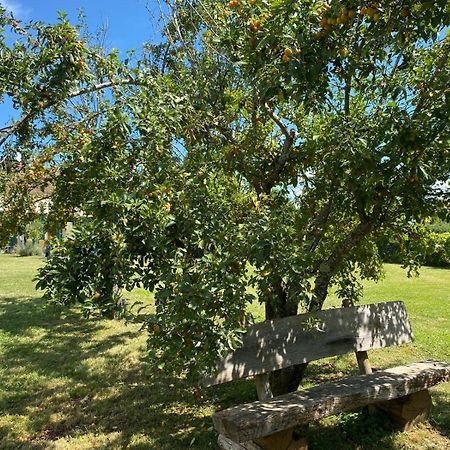 Les Feuilles Jaunes Chantenay-Saint-Imbert Buitenkant foto